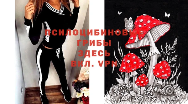 мдпв Навашино