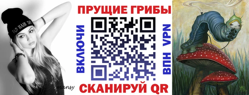 Псилоцибиновые грибы Cubensis  Купить закладки  Отрадная 